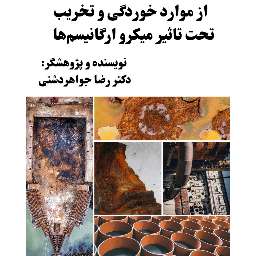 اطلس  کوچک پاتولوژیک از موارد خوردگی و تخریب تحت تأثیر میکروارگانیسم‌ها