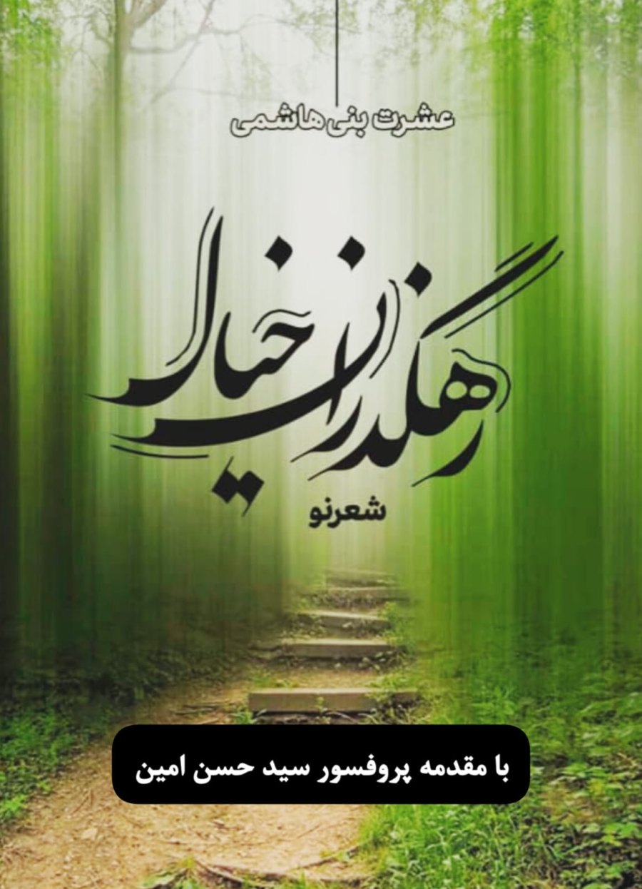 Cover of رهگذران خیال